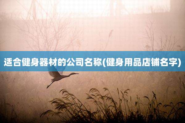 适合健身器材的公司名称(健身用品店铺名字)
