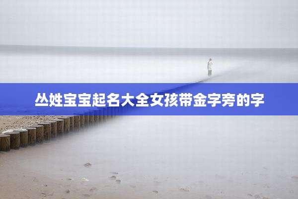 丛姓宝宝起名大全女孩带金字旁的字