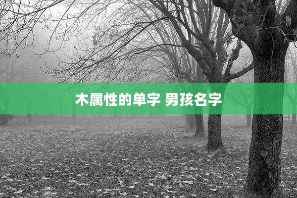 木属性的单字 男孩名字