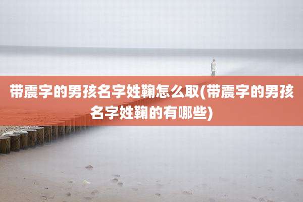 带震字的男孩名字姓鞠怎么取(带震字的男孩名字姓鞠的有哪些)