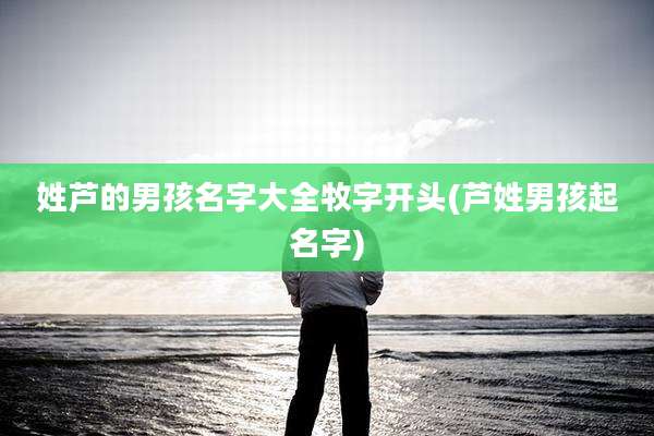 姓芦的男孩名字大全牧字开头(芦姓男孩起名字)