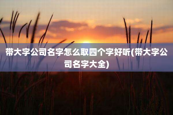 带大字公司名字怎么取四个字好听(带大字公司名字大全)
