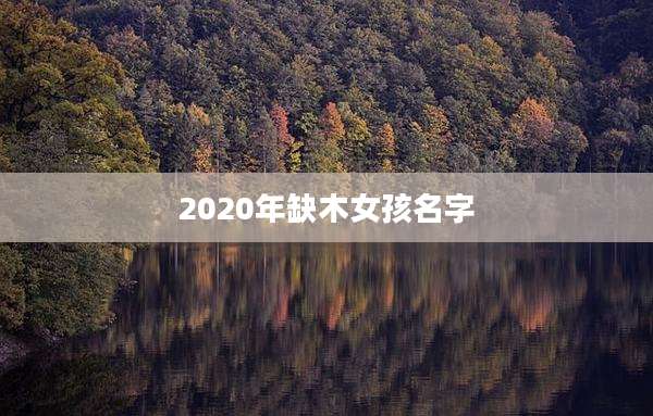 2020年缺木女孩名字