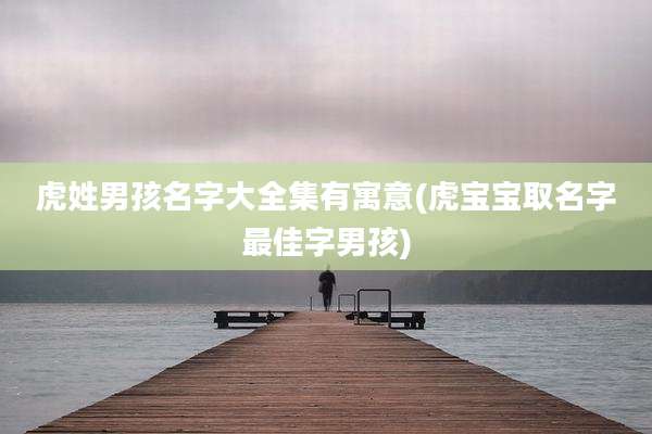 虎姓男孩名字大全集有寓意(虎宝宝取名字最佳字男孩)