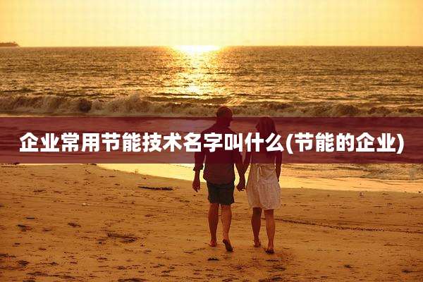 企业常用节能技术名字叫什么(节能的企业)