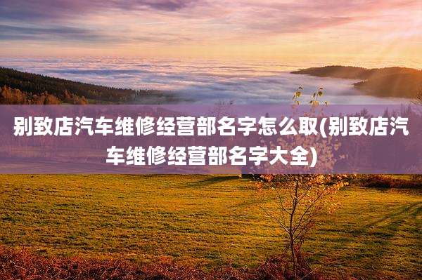 别致店汽车维修经营部名字怎么取(别致店汽车维修经营部名字大全)