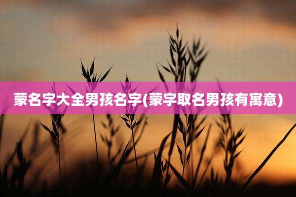 蒙名字大全男孩名字(蒙字取名男孩有寓意)