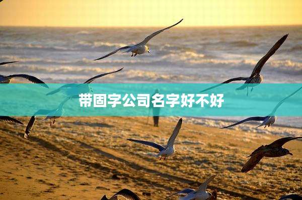 带固字公司名字好不好