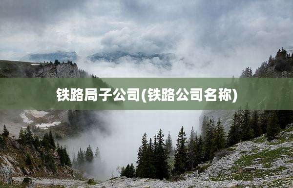 铁路局子公司(铁路公司名称)