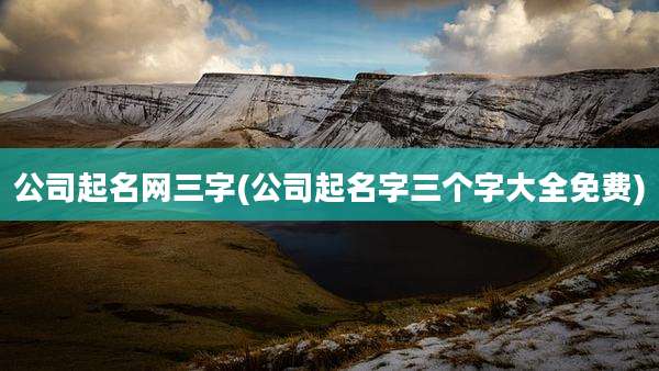 公司起名网三字(公司起名字三个字大全免费)
