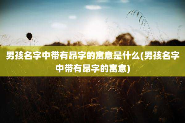 男孩名字中带有昂字的寓意是什么(男孩名字中带有昂字的寓意)