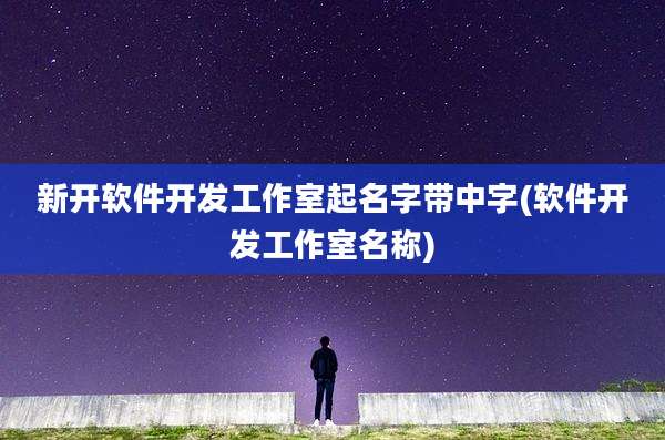 新开软件开发工作室起名字带中字(软件开发工作室名称)