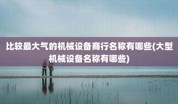 比较最大气的机械设备商行名称有哪些(大型机械设备名称有哪些)