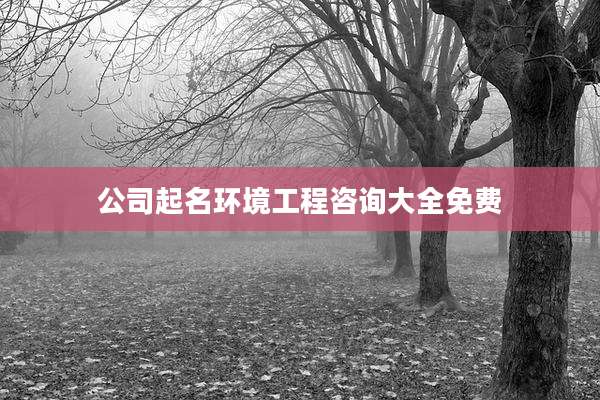 公司起名环境工程咨询大全免费