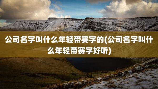 公司名字叫什么年轻带赛字的(公司名字叫什么年轻带赛字好听)