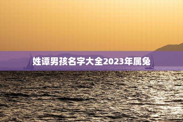 姓谭男孩名字大全2023年属兔