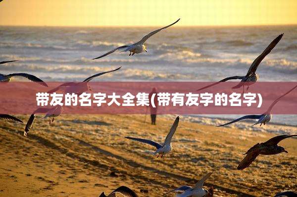 带友的名字大全集(带有友字的名字)