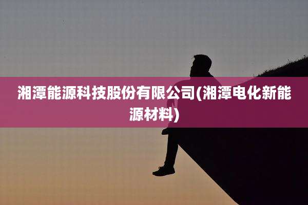 湘潭能源科技股份有限公司(湘潭电化新能源材料)