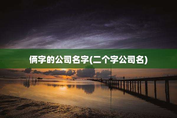 俩字的公司名字(二个字公司名)
