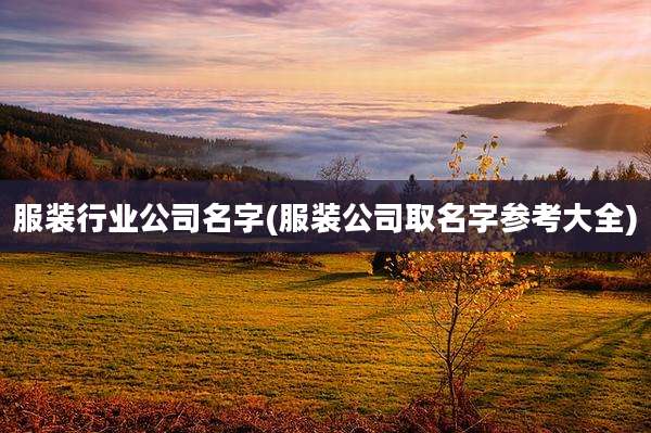 服装行业公司名字(服装公司取名字参考大全)