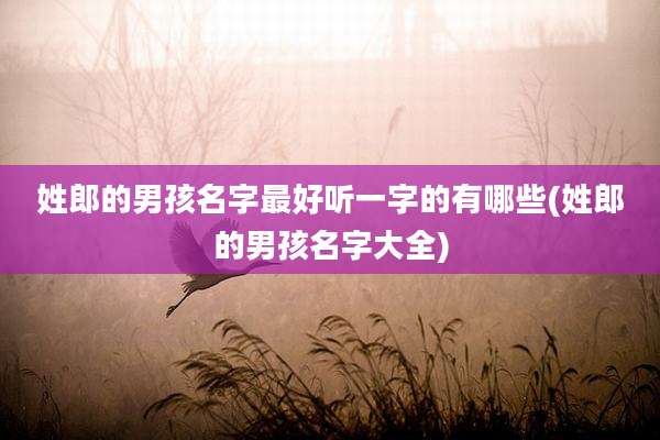 姓郎的男孩名字最好听一字的有哪些(姓郎的男孩名字大全)