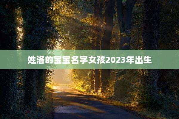 姓洛的宝宝名字女孩2023年出生