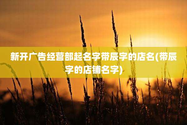 新开广告经营部起名字带辰字的店名(带辰字的店铺名字)