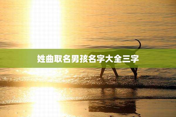 姓曲取名男孩名字大全三字