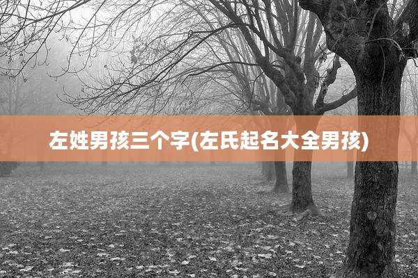 左姓男孩三个字(左氏起名大全男孩)