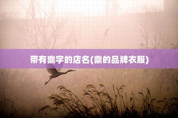 带有鼎字的店名(鼎的品牌衣服)