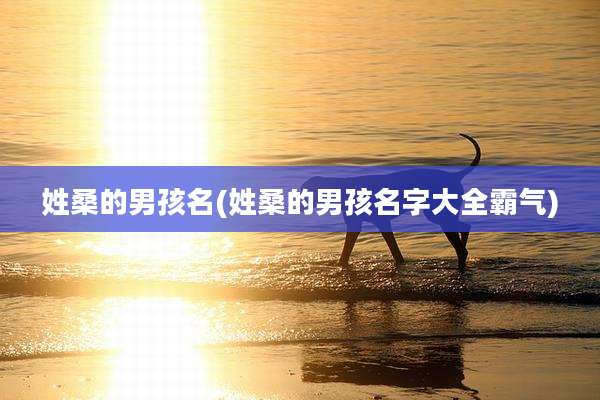 姓桑的男孩名(姓桑的男孩名字大全霸气)
