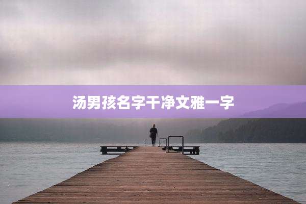 汤男孩名字干净文雅一字