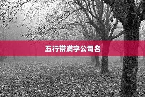 五行带满字公司名