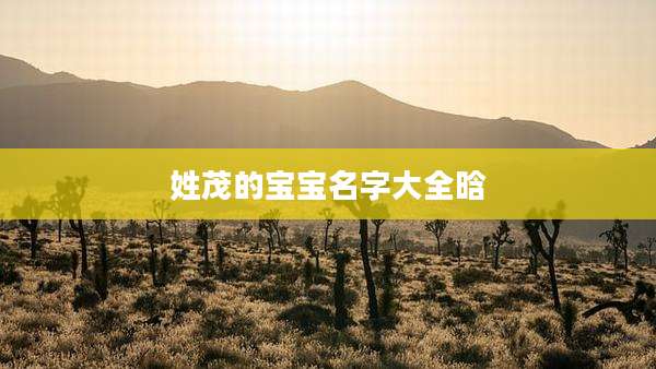 姓茂的宝宝名字大全晗