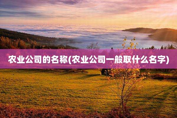 农业公司的名称(农业公司一般取什么名字)