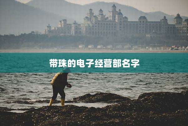 带珠的电子经营部名字