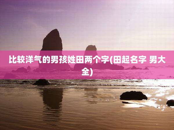 比较洋气的男孩姓田两个字(田起名字 男大全)
