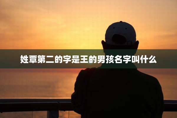 姓覃第二的字是王的男孩名字叫什么