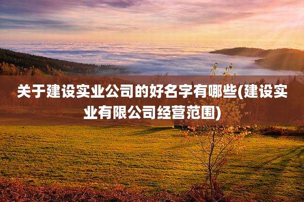 关于建设实业公司的好名字有哪些(建设实业有限公司经营范围)