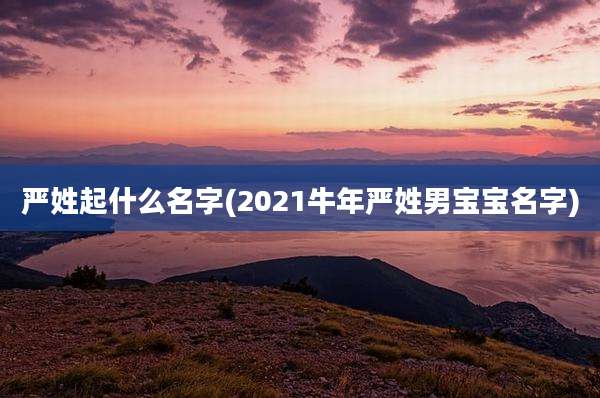 严姓起什么名字(2021牛年严姓男宝宝名字)