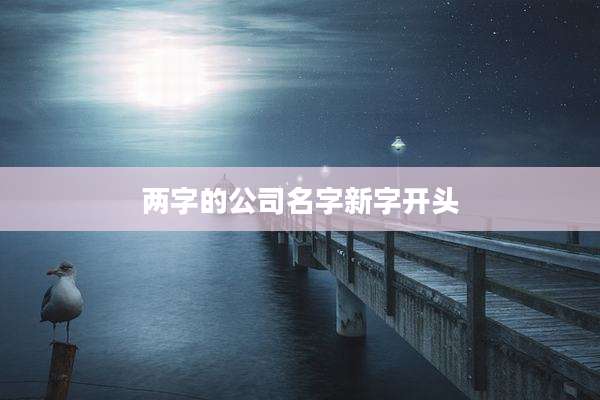 两字的公司名字新字开头
