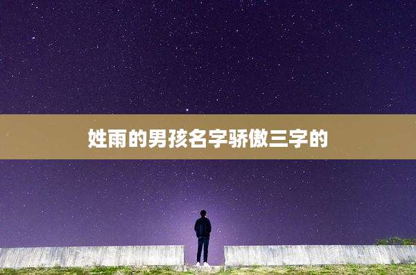 姓雨的男孩名字骄傲三字的