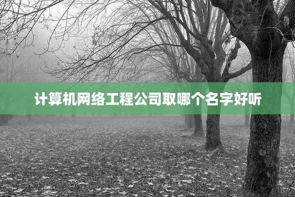 计算机网络工程公司取哪个名字好听