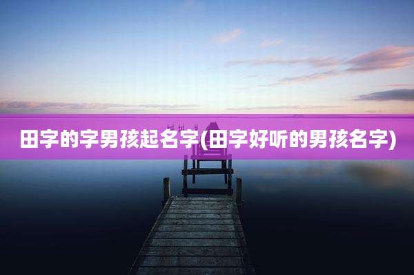 田字的字男孩起名字(田字好听的男孩名字)