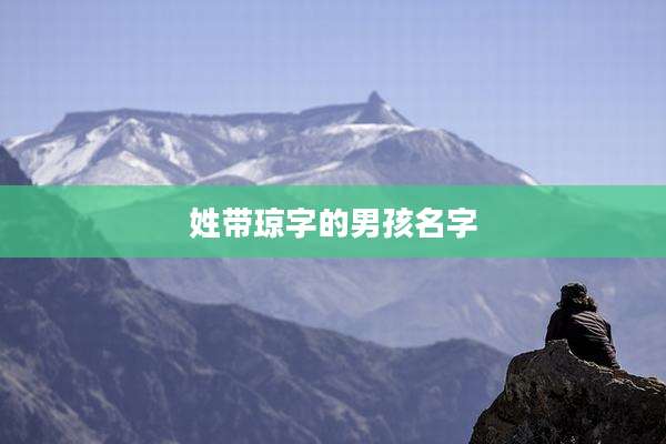 姓带琼字的男孩名字