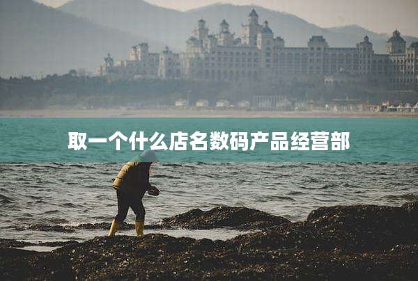 取一个什么店名数码产品经营部