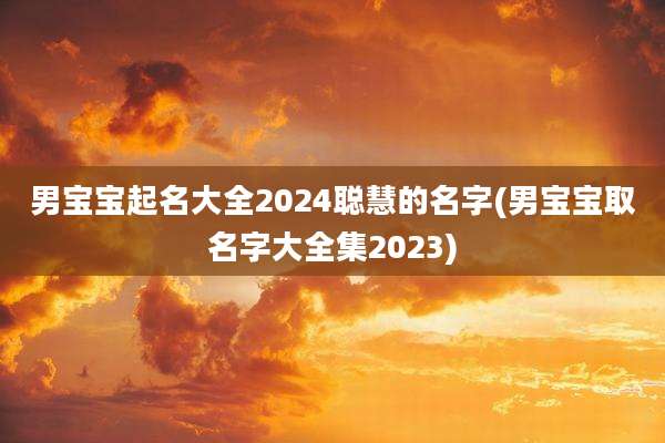 男宝宝起名大全2024聪慧的名字(男宝宝取名字大全集2023)