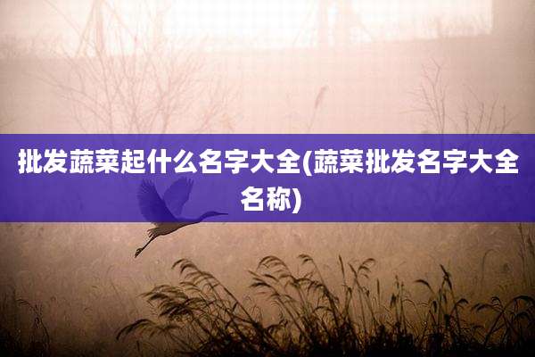 批发蔬菜起什么名字大全(蔬菜批发名字大全 名称)