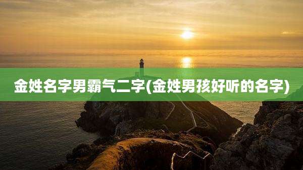 金姓名字男霸气二字(金姓男孩好听的名字)