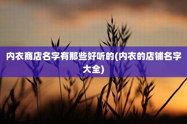 内衣商店名字有那些好听的(内衣的店铺名字大全)
